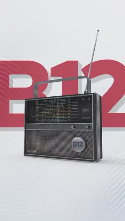 فيتامين ب12 وب9 (ميثيل كوبالامين وميثيل فولات)  30 Tablet